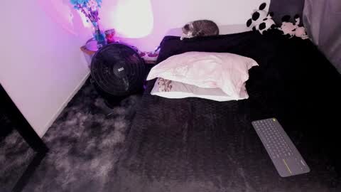 Nicol independent model online show from 02/03/25, 10:32