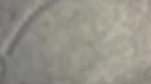 Nicoll  Independent model online show from 04/15/26, 08:43