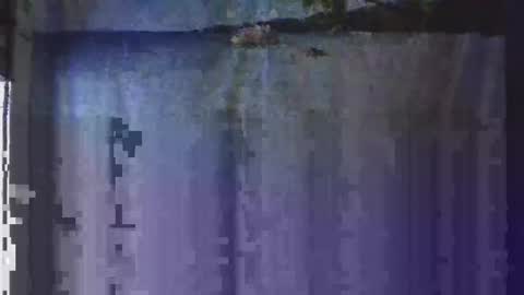 OHB Old Horny Bastard online show from 01/13/25, 05:12