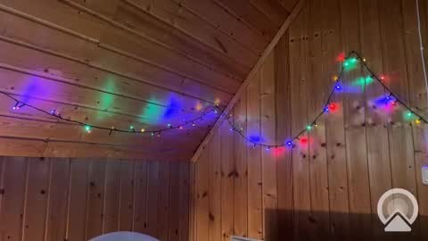 Nick online show from 12/12/24, 08:43