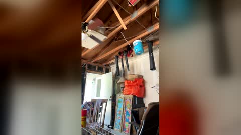 Nikkie online show from 04/03/26, 07:12