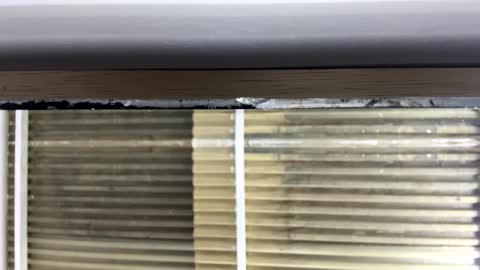 Nikki  online show from 10/14/25, 03:07