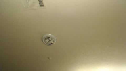 Nikki Mastersgirl1091 online show from 04/10/26, 01:38