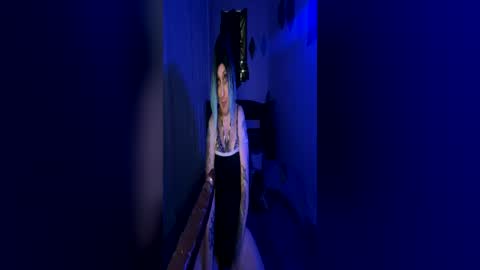 Snapshot of nikkineverlands chatting on 07/02/26, 03:07 Nikki Neverland online show from 07/02/26, 03:07