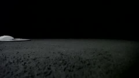 Snapshot of nikkkibabyyyy chatting on 01/24/25, 09:49 Niquita Sparkles online show from 01/24/25, 09:49