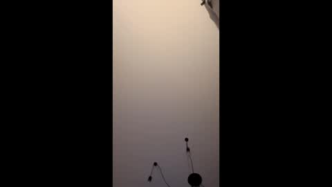 neighbours online show from 01/16/26, 12:14