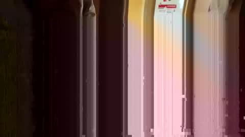 Nikolay online show from 03/11/26, 03:23