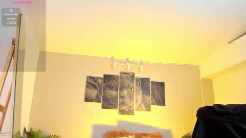 Nils online show from 02/07/26, 04:49