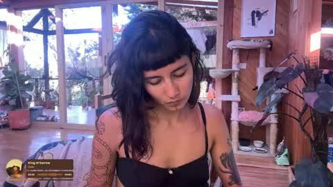 Snapshot of nina_just chatting on 10/20/25, 09:26 Nina. online show from 10/20/25, 09:26