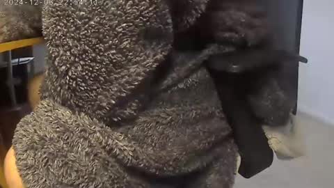 nineinchhard online show from 12/05/24, 09:28