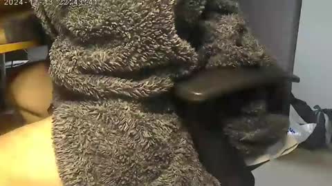 nineinchhard online show from 12/12/24, 09:19