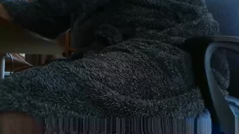 nineinchhard online show from 03/04/25, 08:02