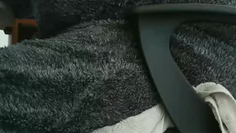 nineinchhard online show from 09/23/25, 09:56