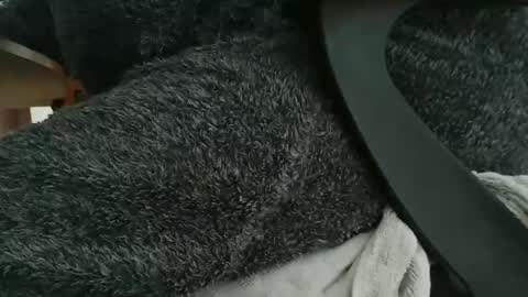 nineinchhard online show from 10/22/25, 10:26