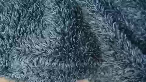 nineinchhard online show from 02/19/26, 10:55