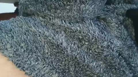 nineinchhard online show from 04/06/26, 01:01