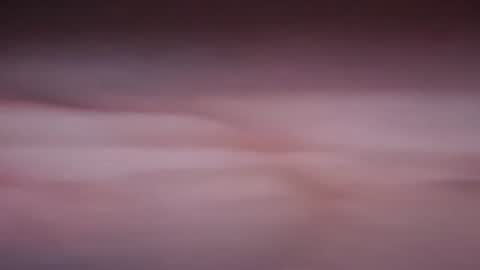 nne931 online show from 07/08/26, 12:48