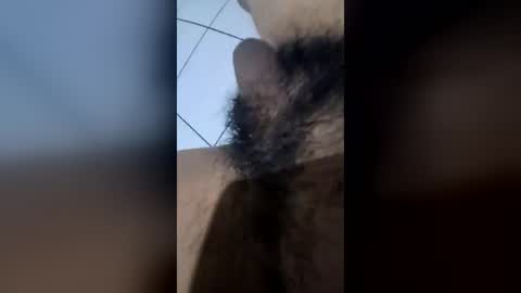 nnndft online show from 07/21/26, 07:16