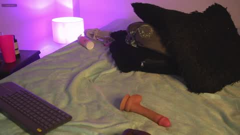 noah_0814 online show from 04/11/26, 07:45