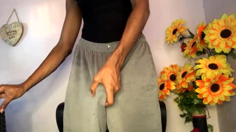 Snapshot of noah_miller7 chatting on 01/23/25, 10:22 Noah Millers online show from 01/23/25, 10:22