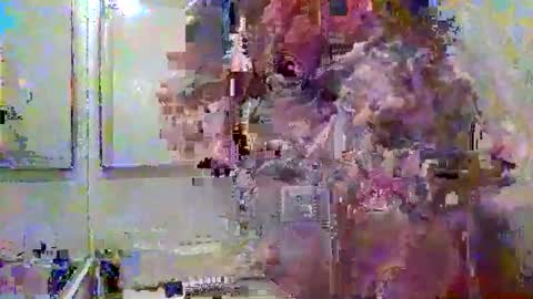 noboundariesinprivate online show from 03/18/26, 04:37