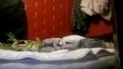 nocturnus1980 online show from 09/23/25, 05:21