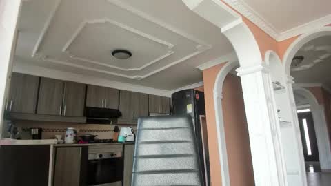  In instagram dayhannanoemi online show from 02/28/25, 01:25