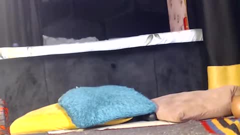 Snapshot of noircandy chatting on 12/16/24, 10:03 Noir Thats My Name Call Me Bablicious online show from 12/16/24, 10:03