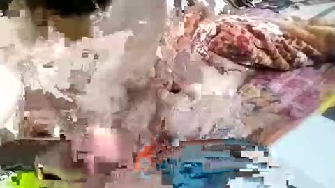 sim  nib online show from 01/26/25, 09:29