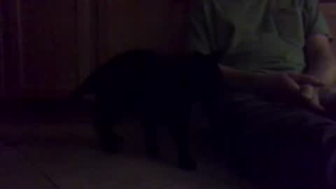 Noodles online show from 01/16/26, 01:04