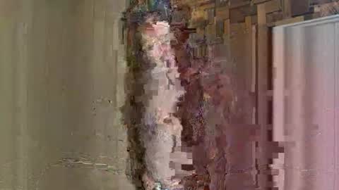 NoodsOverNudes online show from 05/26/26, 02:46