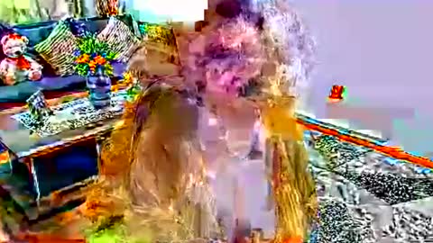 noraj66 online show from 03/23/26, 01:59