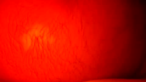 norbitomii online show from 09/24/25, 10:57