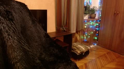 miss Tress online show from 12/28/24, 09:19