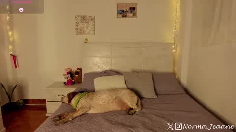 Snapshot of norma_jeaane chatting on 10/04/25, 08:29 Norma Jeaane online show from 10/04/25, 08:29