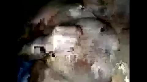 normajeen77777 online show from 04/14/26, 07:47