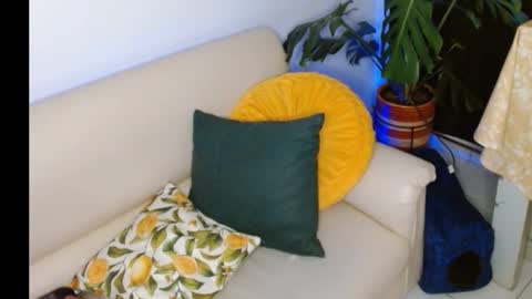 novaperotti online show from 10/08/25, 11:35