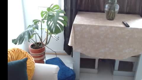 novaperotti online show from 11/05/25, 06:41