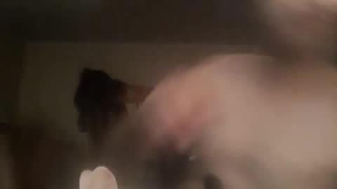 novasocia online show from 09/23/25, 04:26
