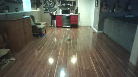 Nudistguy online show from 03/15/26, 10:05