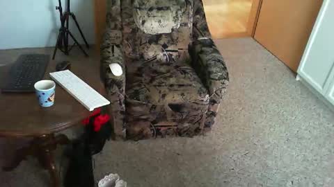 Strumpfhose online show from 11/29/25, 09:01