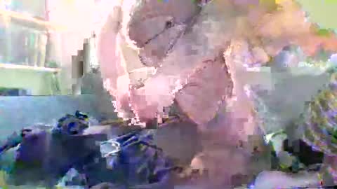 NYlonloversFFM online show from 01/17/26, 07:17