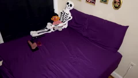 Nymphaea online show from 01/17/26, 12:26