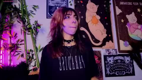   online show from 03/17/26, 06:17