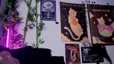   online show from 04/21/26, 02:51