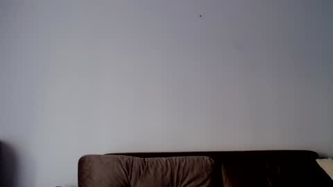 Snapshot of o_r_b_i_t chatting on 12/19/24, 01:29 o_r_b_i_t online show from 12/19/24, 01:29