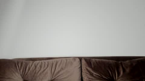 Snapshot of o_r_b_i_t chatting on 01/21/25, 02:15 o_r_b_i_t online show from 01/21/25, 02:15