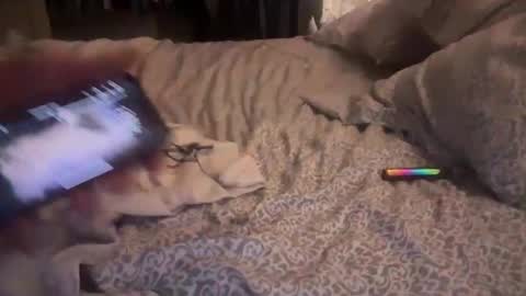 obiwand653040 online show from 11/04/25, 05:28