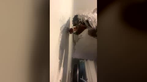 Kira online show from 12/14/25, 09:03