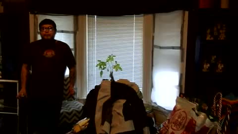 oscar flores online show from 03/01/26, 01:02